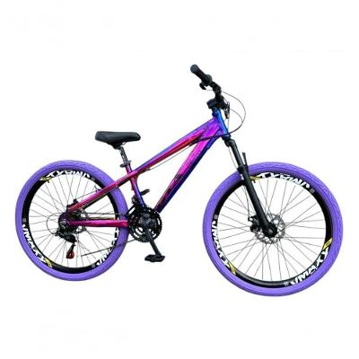 Bicicleta Aro 26 Gta Camaleão 21V Câmbios Importados Aro Vmaxx Pneu Roxo