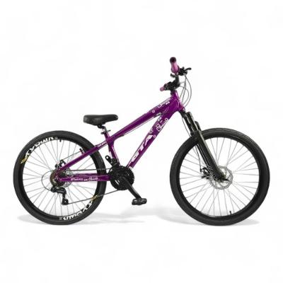 Bicicleta Aro 26 Gta Rebel Freeride 21v Shimano Freio A Disco Do Grau - Roxo Roxo/branco