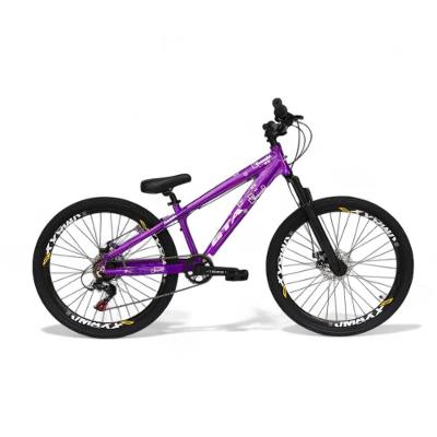 Bicicleta Aro 26 Gta Rebel Freeride 7v Single Freio A Disco Do Grau - Roxo Roxo/branco