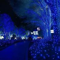 Pisca Varal Cordão Decorativo Com Leds Azul Redondo 100m - 2