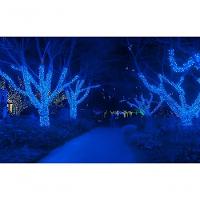 Pisca Varal Cordão Decorativo Com Leds Azul Redondo 100m - 3