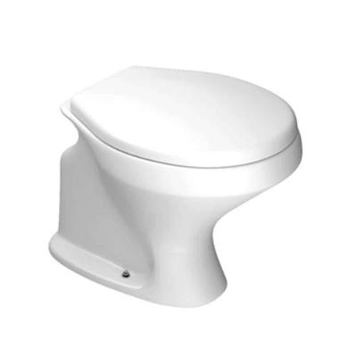 Vaso Convencional Ravenna Branco Gelo Deca 385x590x385mm