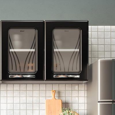Armário De Cozinha De Aço Aéreo Duplo Star Com Vidro – Branco E Preto Branco Com Preto