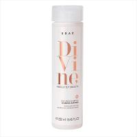 Braé Divine Shampoo Antifrizz 250ml - 1