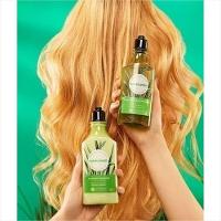 L'occitane Capim Limão Shampoo Purificante 300ml - 3