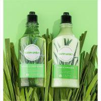 L'occitane Capim Limão Shampoo Purificante 300ml - 5