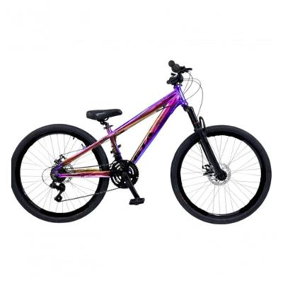 Bicicleta Aro 26 Freeride Gta Camaleão Importada 21v Aro Aero