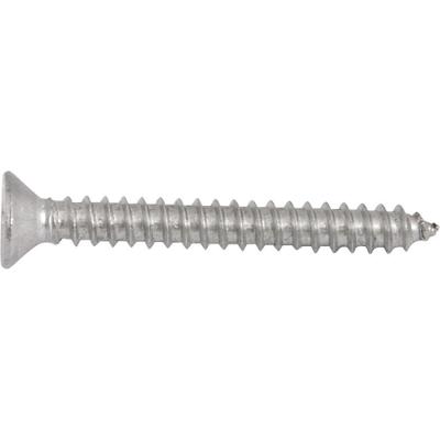 Parafuso Tarraxante Inox 3,9x32,0mm Phillips 10 Pçs Vonder