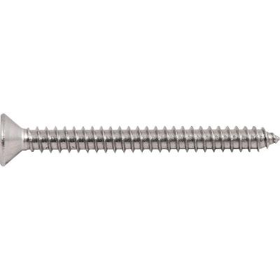 Parafuso Autoatarraxante Inox 4,8x50,0mm Phillips Vonder