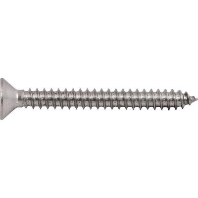 Parafuso Autoatarraxante Inox 5,5x50,0mm Phillips Vonder