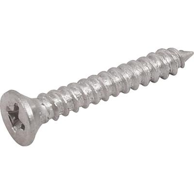 Parafuso Tarraxante Inox 2,9x19,0mm Phillips 10 Pçs Vonder