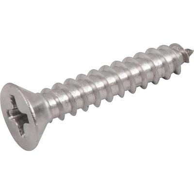 Parafuso Tarraxante Inox 3,5x19,0mm Phillips 10 Pçs Vonder