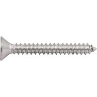 Parafuso Autoatarraxante Inox 4,8x38,0mm Phillips Vonder - 1
