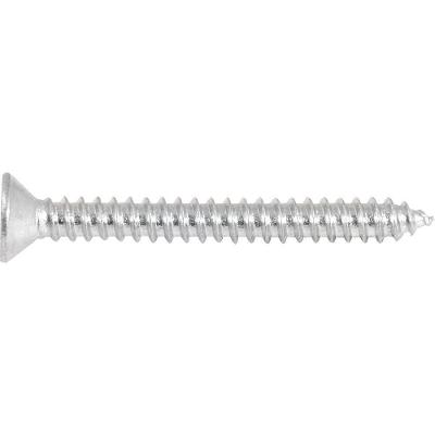 Parafuso Autoatarraxante 4,2x38,0mm Phillips 10 Peças Vonder