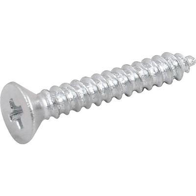 Parafuso Autoatarraxante 2,9x19 Phillips Com 20 Peças Vonder