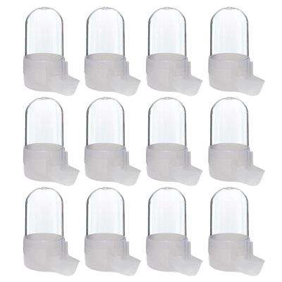 Bebedouro Jumbo Bico Fino 30ml Kit Com 12 Unidades