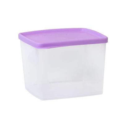 Pote Hermético 800ml Plasvale Lilás