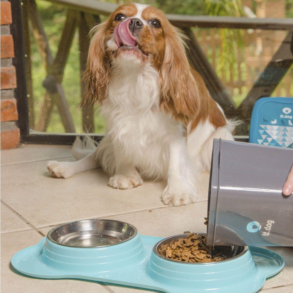 Comedouro Duplo Removí­vel Pet Azul - 2