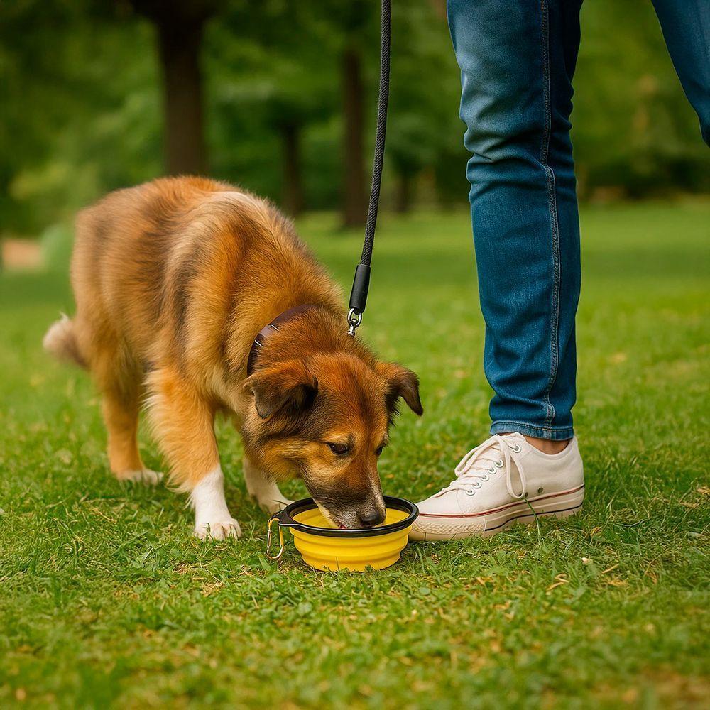 Comedouro Bebedouro Dobrável Com Gancho Portátil Pet Azul - 4
