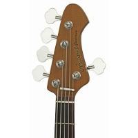 Contrabaixo Aria Pro Ii 313-bb/5 Detroit 5 Cordas Bourbon Barrel [f002]