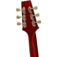 Guitarra Aria Pro Ii Pe-350std Aged Brown Sunburst [f002] - 2