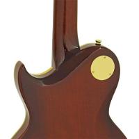 Guitarra Aria Pro Ii Pe-f80 Stained Brown [f002]
