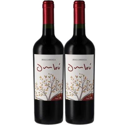 Kit 2 Garrafas Vinho Tinto Braccobosca Ombu Tannat 750ml