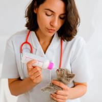 Kit Mamadeira Com Acessórios Para Pet 7 Peças Bico Limpador - 6