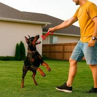 Mordedor Puxador Canino Brinquedo Cachorro Pet Diversão Rosa - 5