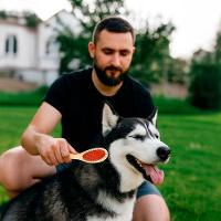 Escova Dupla Desembaraçadora Para Pet Rasqueadeira