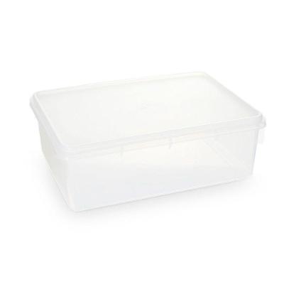 Caixa Plástica Organizadora Empilhável E Hermética Com Tampa 11l Plasvale - 37x26x14 (cxlxa) Transparente