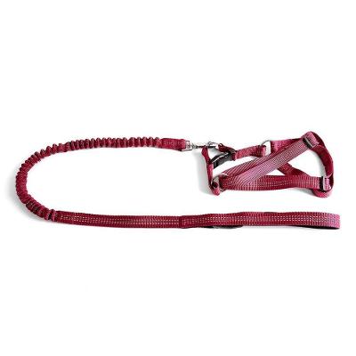 Coleira - Guia Flexível Com Peitoral Tamanho P Vermelho