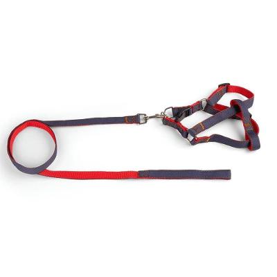 Coleira - Guia Com Peitoral Jeans - G Azul