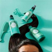 L'occitane Cana De Açucar Shampoo 300ml - 3