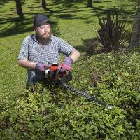 Podador Cerca Viva 25,6cc Cc260tky 2t Gasolina 600mm Tekna - 2