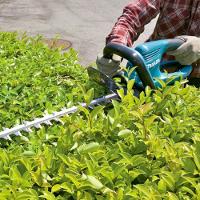 Aparador De Cercas 550W Uh5570 Makita 110V