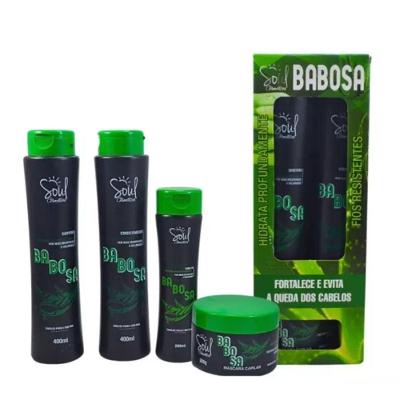 Kit Capilar Babosa 4 Peças Soul Fortalece E Evita Queda De Cabelos Original