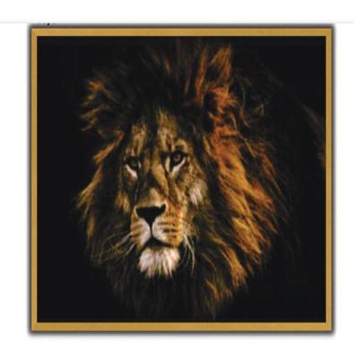 Quadro Decorativo Leão Realista Africana Grande Moldura Dourado