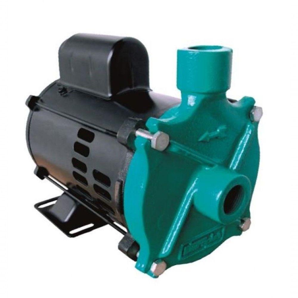 Motobomba Standard Hobby 1-2cv 60Hz Mcs-50m Eletroplas 220V - 2