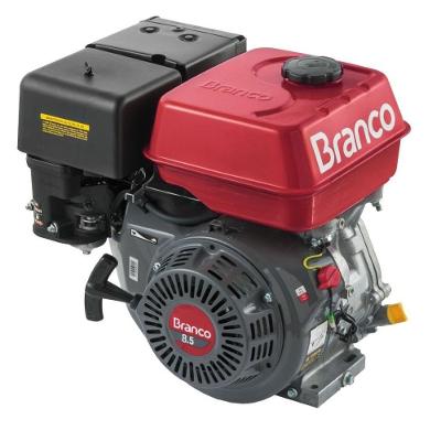 Motor Gasolina 8,5cv Eixo H Partida Elétrica B4t-8.5h Branco