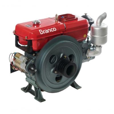 Motor Diesel 18cv 903cc P.elét Termossifão Bda-18.0te Branco