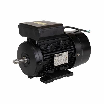 Motor Elétrico De 2cv 127- 60Hz 4p Ip55 Yl90l-4 Lynus 220V