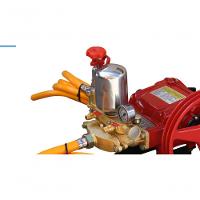 Bomba Pulverização 30-45 L-min Cabeçote Em Ferro Buffalo - 3