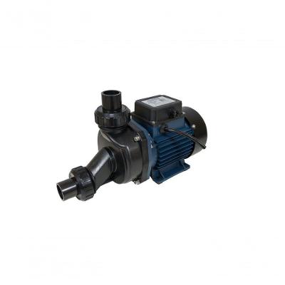 Motobomba Para Hidromassagem 1cv 60hz Ech-100i Eletroplas 110V