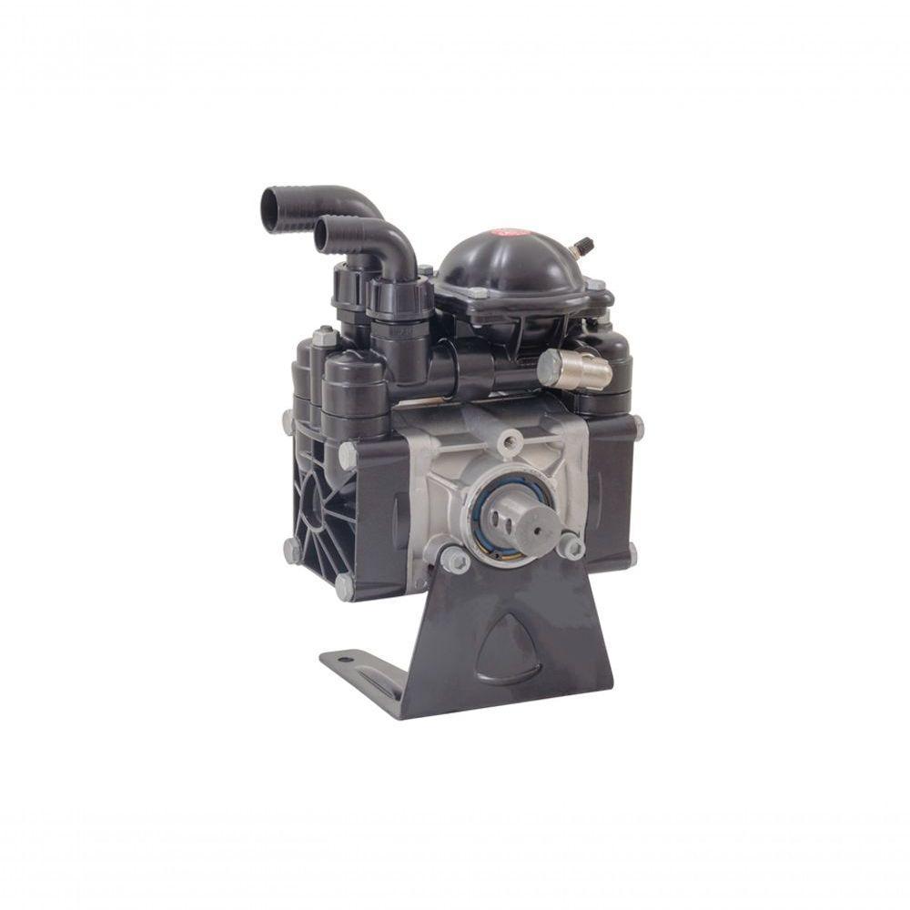 Bomba Ar-70 61 Litros-min 2,9hp 20bar 290psi 550rpm - 1