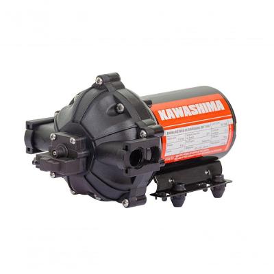 Bomba De Diafragma Pulverização Bw1194 12V 17 à 19 L-m 4bar