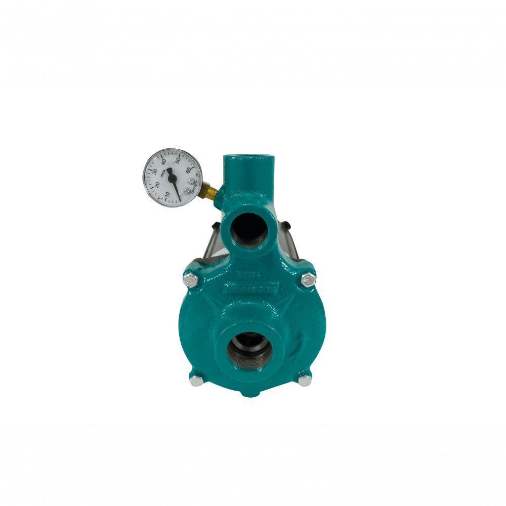 Motobomba Injetora 1-2cv 110- I-209 Eci-50 Eletroplas 220V - 1