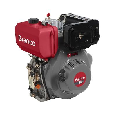 Motor Diesel 10,0cv Eixo H Partida Elétrica Bd-10.0 Branco