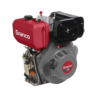 Motor Diesel 7,0cv Eixo H Partida Manual Bd-7.0 Branco