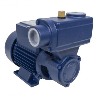 Motobomba Periférica Autoaspirante 1-2hp 60hz Bivolt Ica-50ab Eletroplas